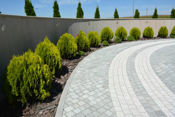 Best Driveway Resurfacing Pavers  in Shenandoah, VA